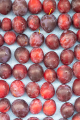 Unfolded berry plum. Lots of plums. Seasonal berry.