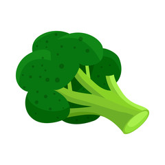 Vector design of broccoli and nutrition logo. Set of broccoli and plant vector icon for stock.