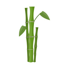Vector design of bamboo and tree sign. Collection of bamboo and green vector icon for stock.