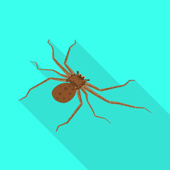 Isolated object of spider and widow sign. Set of spider and funny stock symbol for web.