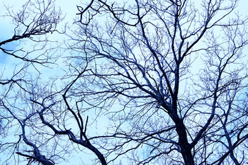 不気味イメージ