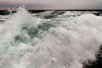 Fototapeta premium Fast speed in the sea . Waves, foam and wake caused by cruise ship in the sea