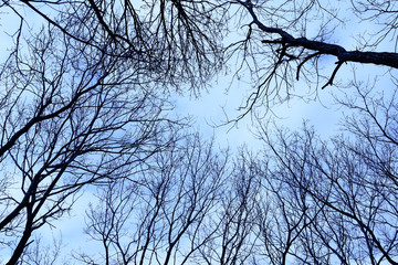 不気味イメージ