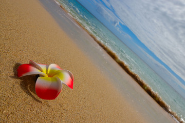 エメラルドブルー