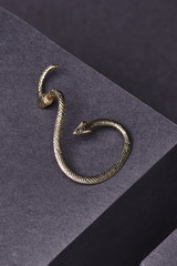 Shot of single golden earring in shape of a snake. The accessory set is isolated on the dark gray background. Voguish women's fashion item.