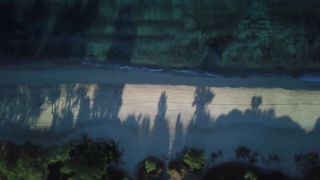 Birds Eye Drone Shot flying along a Hawaiian Beach with small waves crashing on the shore. It is sunrise time so shadows from the trees can be seen along the beach.