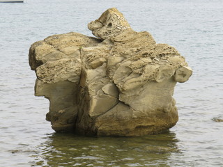 rock and sea