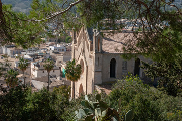 Fototapeta na wymiar Kathedrale von Arta und Pinienwald auf spanischer Insel Mallorca