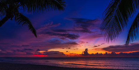 Fototapeta na wymiar Sunset and palms