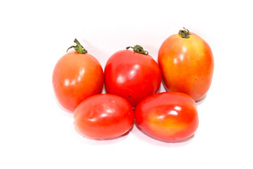 Tomatoes in the white background