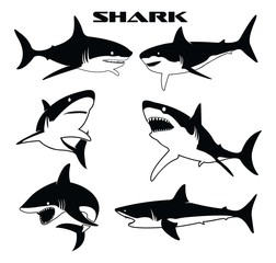 Shark vector silhouettes set. Monochrome illustration of stylized shark. isolated on white background