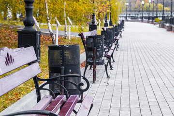 The perspective of the row of wooden benches in autumn park. Autumn landscape
