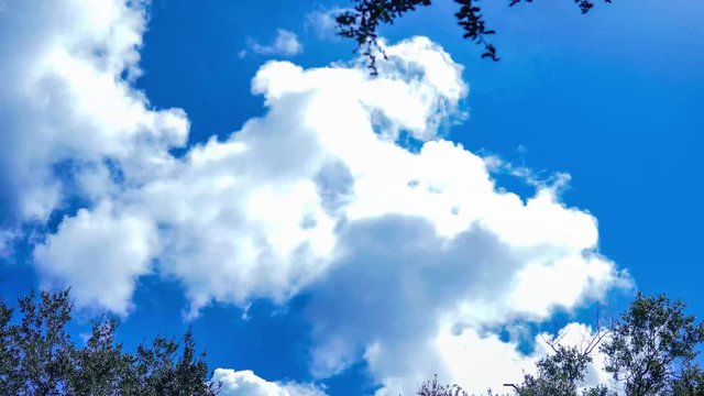 Time Lapse Blue Sky Clouds 4k