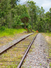 Fototapeta premium Termite mounds and railway tracks near Kuranda in Tropical North Queensland, Australia