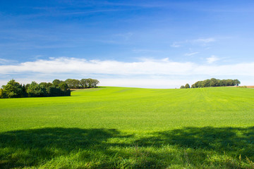 Fototapeta premium Green grass field on small hills and blue sky with clouds