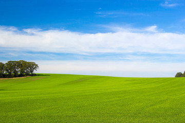 Green grass field on small hills and blue sky with clouds