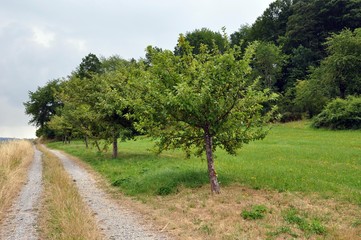 Poppenhausen in der Rhön