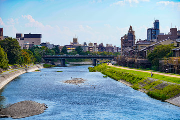 鴨川 京都観光 日本