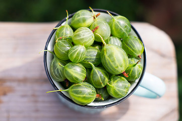 Gooseberries green juicy in a glass on a chair. Top view. Summer.