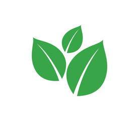 Green eco leaf logo element symbol, vector template,