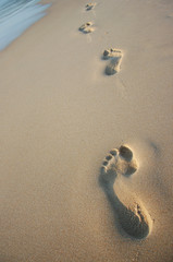 Foot print in the sand at beach summer time 