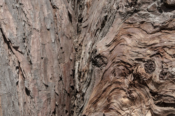 Brown wood texture closeup with split crack