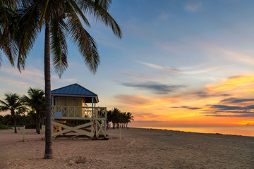 Palm trees in Ocean beach at sunrise in Florida Keys