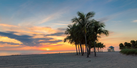 Obraz premium Beautiful Sunrise at palm trees by the ocean beach in Florida Keys