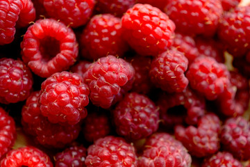 fresh raspberries on white background
