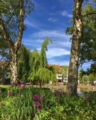 garden with trees and flowers