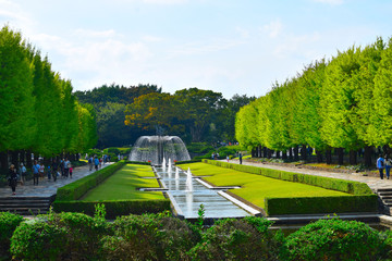 昭和記念公園