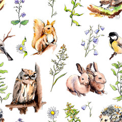 Fototapety  Animals, birds - rabbits, squirrel, owl, hedgehog in meadow grass. Seamless pattern. Watercolor in sketch style