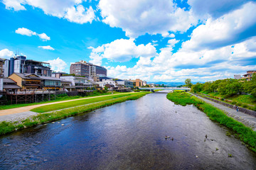 Fototapeta premium 鴨川 京都観光 日本