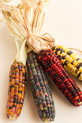 A bunch of colorful corn on the cob.