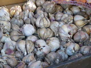 garlic in the market