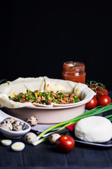 meat pie with carrots, onions and cheese in a baking dish on a dark background