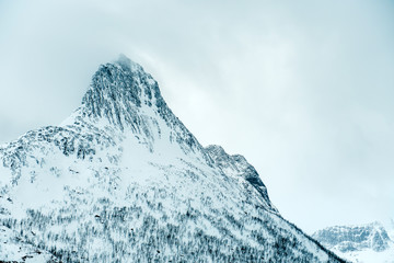 Obraz premium Dramatic winter sea and epic snowy mountains, Lofoten islands in Norway