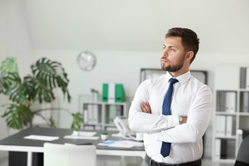 Portrait of handsome businessman in office