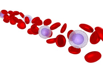 3D red blood cells, virus cells - infection concept