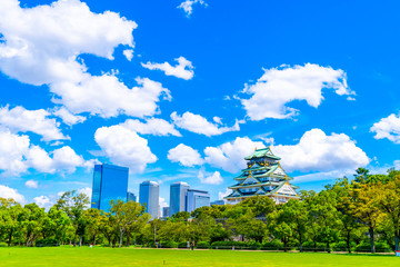 Obraz premium 青空と緑の大阪城