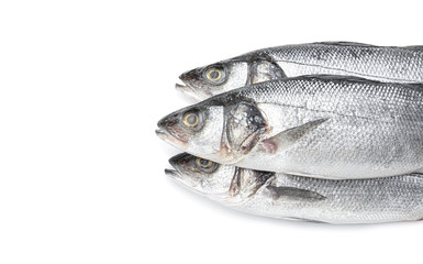 Fresh seabass fish on white background