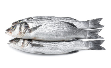Fresh seabass fish on white background