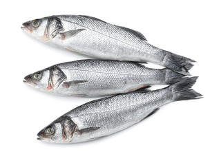 Fresh seabass fish on white background