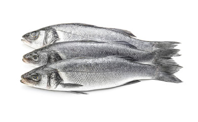 Fresh seabass fish on white background