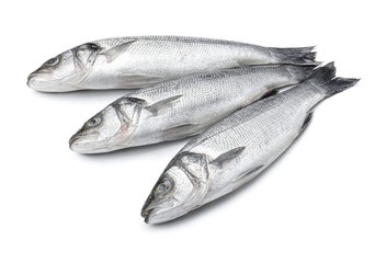 Fresh seabass fish on white background