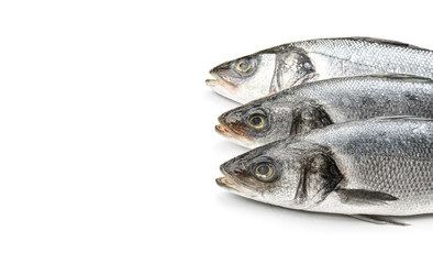 Fresh seabass fish on white background