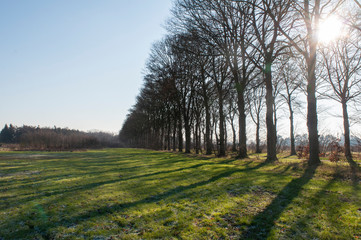 Obraz premium country road in the countryside