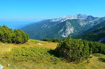 mountain landscape of the Pirin National Park in Bulgaria