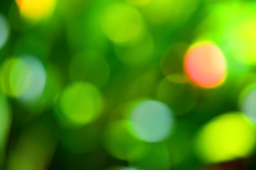 Obraz premium Natural bokeh abstract pattern background