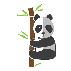  Panda climbing bamboo